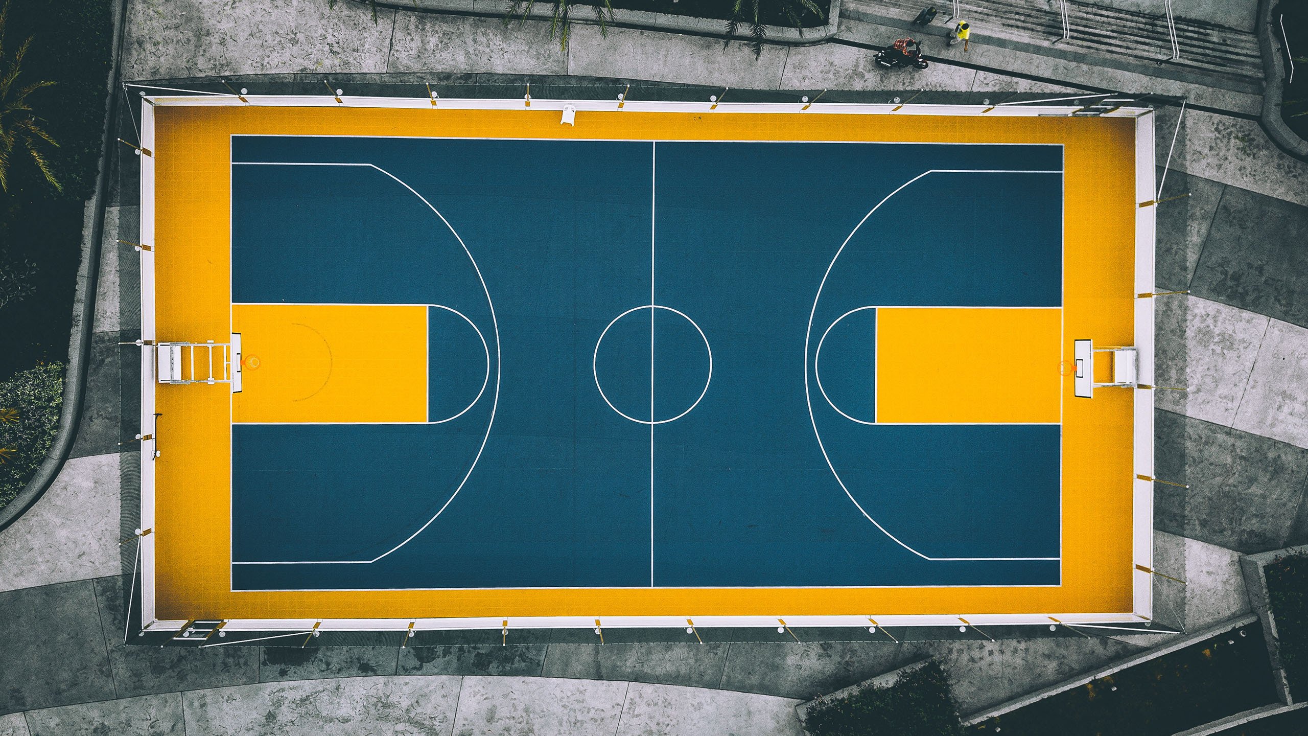 爱游戏官方网站-青春风暴！利亚新星率队劈波斩浪，强势领跑联赛